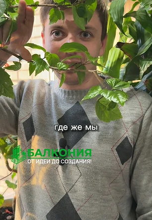 я джифка